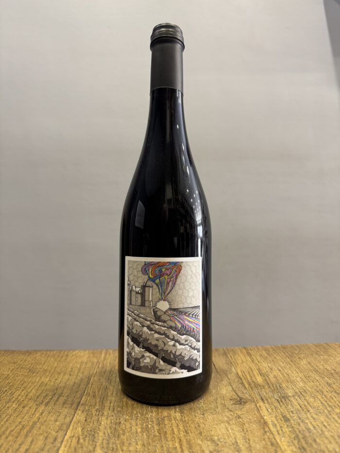 Saumur Champigny - Domaine la Seigneurie - Galop d’essai 2023